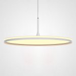 Подвесной светильник DANIKA D60 White Трехцветный свет ImperiumLoft 214086-23