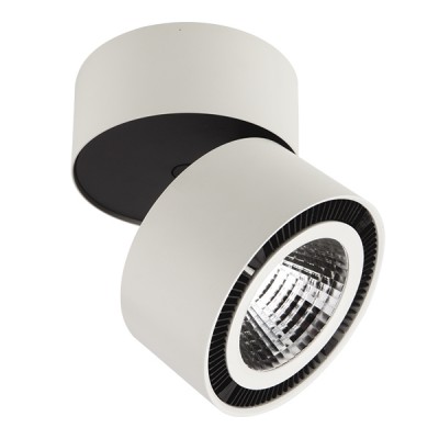 

Светильник накладной светодиодный Lightstar 214850 Forte Muro, 214850