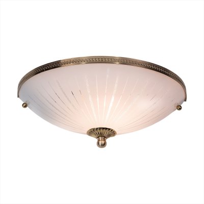 

Светильник настенный бра Citilux CL912321, CL912321