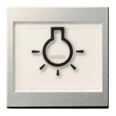 Gira S-55 Алюминий Клавиша 1-я с большим полем для надписи и символом "Свет" (G21626)