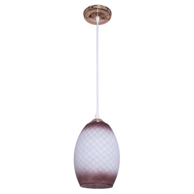 Подвесной светильник Экономсвет 2165/1FGD