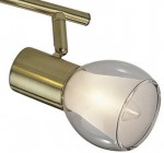 Светильник поворотный спот Odeon light 2176/4W MOSS