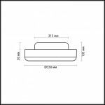 Настенно - потолочный светильник Odeon light 2177/2C YUN