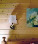 Настенный светильник с выключателем Odeon light 2186/1W TIARA