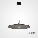 Подвесной светильник EUREKA D25 Black 4000К ImperiumLoft 219284-23