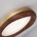 Потолочный светильник RUNIS D60 Dark brown ImperiumLoft 219475-26