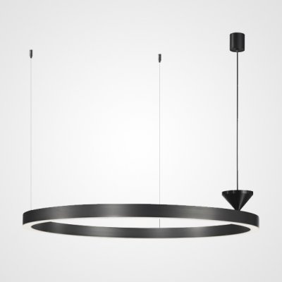 Подвесная люстра NORDEN D80 ImperiumLoft 219700-23