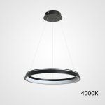 Подвесная люстра CHANETT D40 Black 4000К ImperiumLoft 219909-23