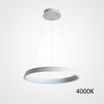 Подвесная люстра CHANETT D50 White 4000К ImperiumLoft 219913-23