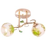 Люстра эконом Экономсвет 2200LM/2C FGD GN