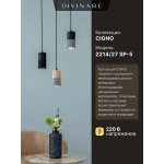 Подвесной светильник Divinare CIGNO 2214/27 SP-5