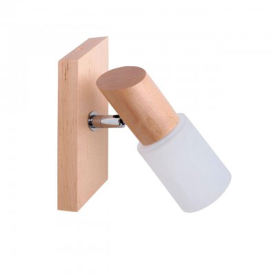 Спот Spot Light Birgit 2222160