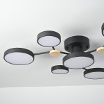Потолочная люстра GAMMA D88 Black ImperiumLoft 223768-23