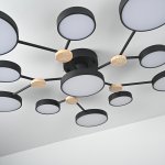 Потолочная люстра GAMMA D102 Black ImperiumLoft 223770-23