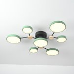Потолочная люстра GAMMA D88 Green ImperiumLoft 223771-23