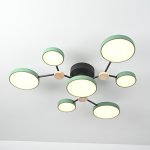 Потолочная люстра GAMMA D88 Green ImperiumLoft 223771-23
