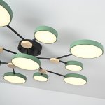 Потолочная люстра GAMMA D102 Green ImperiumLoft 223773-23