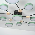 Потолочная люстра GAMMA D102 Green ImperiumLoft 223773-23