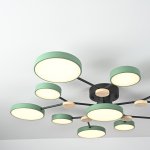 Потолочная люстра GAMMA D102 Green ImperiumLoft 223773-23