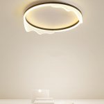 Потолочный светильник IZELIN D40 Black ImperiumLoft 223812-23