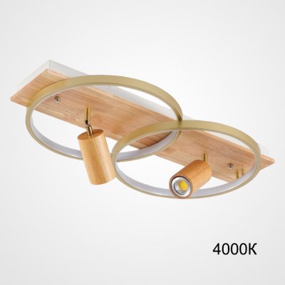 Потолочный светильник DIDRIKA L65 Light Brown 4000К ImperiumLoft 223837-23 Потолочный светильник DIDRIKA L65 Light Brown 4000К ImperiumLoft 223837-23