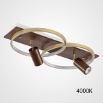 Потолочный светильник DIDRIKA L65 Dark Brown 4000К ImperiumLoft 223843-23