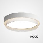 Потолочный светильник MALIA D55 White 4000К ImperiumLoft 223847-23