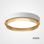 Потолочный светильник MALIA D45 White Brass 4000К ImperiumLoft 223849-23