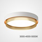 Потолочный светильник MALIA D45 White Brass Трехцветный свет ImperiumLoft 223850-23