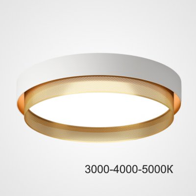 Потолочный светильник MALIA D55 White Brass Трехцветный свет ImperiumLoft 223852-23