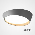 Потолочный светильник TORONTO D50 Grey 4000К ImperiumLoft 223863-23