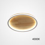Потолочный светильник DOLAN D20 4000К ImperiumLoft 223945-23
