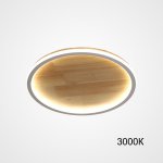 Потолочный светильник DOLAN D20 3000К ImperiumLoft 223946-23