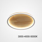 Потолочный светильник DOLAN D20 Трехцветный свет ImperiumLoft 223947-23