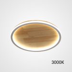 Потолочный светильник DOLAN D30 3000К ImperiumLoft 223949-23