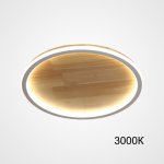 Потолочный светильник DOLAN D40 3000К ImperiumLoft 223952-23