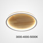 Потолочный светильник DOLAN D40 Трехцветный свет ImperiumLoft 223953-23