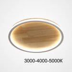 Потолочный светильник DOLAN D50 Трехцветный свет ImperiumLoft 223956-23