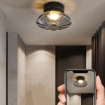 Потолочный светильник CHARIN Black ImperiumLoft 223959-23