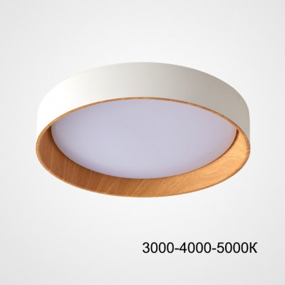 Потолочный светильник WENNY D35 Трехцветный свет ImperiumLoft 223981-23