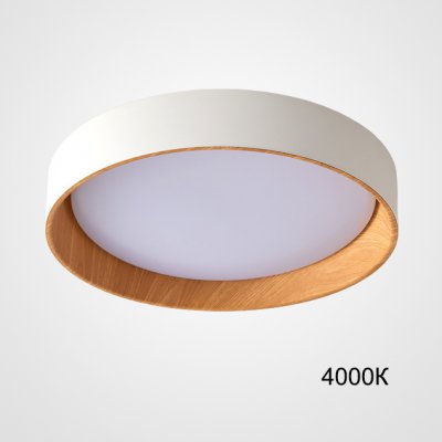 Потолочный светильник WENNY D45 4000К ImperiumLoft 223982-23