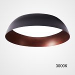 Потолочный светильник BARBO D40 3000К ImperiumLoft 223986-23