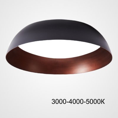 Потолочный светильник BARBO D55 Трехцветный свет ImperiumLoft 223989-23 Потолочный светильник BARBO D55 Трехцветный свет ImperiumLoft 223989-23