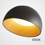 Потолочный светильник BARA A D50 Black 4000К ImperiumLoft 223994-23