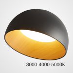 Потолочный светильник BARA A D50 Black Трехцветный свет ImperiumLoft 223995-23