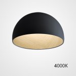Потолочный светильник BARA B D35 Black 4000К ImperiumLoft 224000-23
