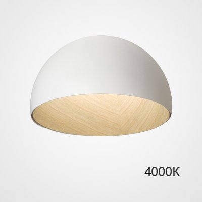 Потолочный светильник BARA B D35 White 4000К ImperiumLoft 224002-23
