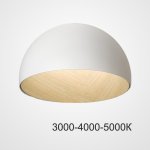 Потолочный светильник BARA B D50 White Трехцветный свет ImperiumLoft 224007-23