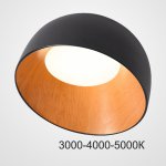 Потолочный светильник NORDA B Black Трехцветный свет ImperiumLoft 224014-23