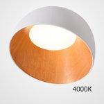 Потолочный светильник NORDA B White 4000К ImperiumLoft 224015-23